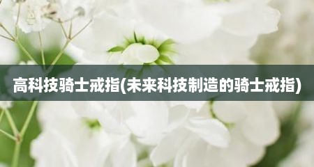 高科技骑士戒指(未来科技制造的骑士戒指)