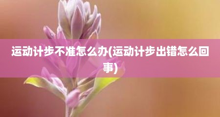 运动计步不准怎么办(运动计步出错怎么回事)