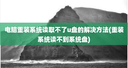 电脑重装系统读取不了u盘的解决方法(重装系统读不到系统盘)