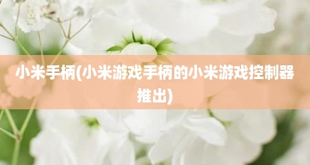 小米手柄(小米游戏手柄的小米游戏控制器推出)