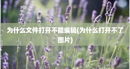 为什么文件打开不能编辑(为什么打开不了图片)