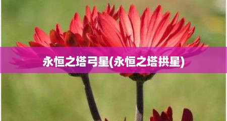 永恒之塔弓星(永恒之塔拱星)