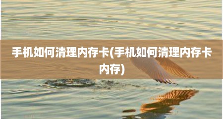 手机如何清理内存卡(手机如何清理内存卡内存)