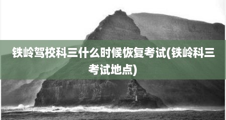 铁岭驾校科三什么时候恢复考试(铁岭科三考试地点)