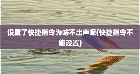 设置了快捷指令为啥不出声呢(快捷指令不能设置)
