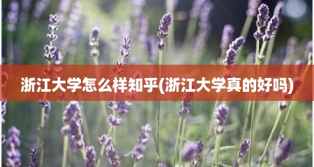 浙江大学怎么样知乎(浙江大学真的好吗)