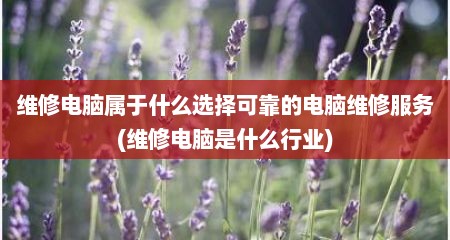 维修电脑属于什么选择可靠的电脑维修服务(维修电脑是什么行业)