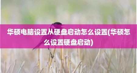 华硕电脑设置从硬盘启动怎么设置(华硕怎么设置硬盘启动)