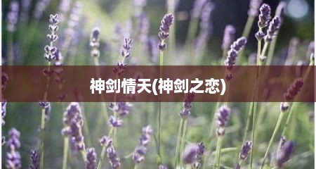 神剑情天(神剑之恋)