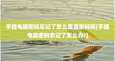 手提电脑密码忘记了怎么重置密码呢(手提电脑密码忘记了怎么办?)