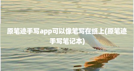 原笔迹手写app可以像笔写在纸上(原笔迹手写笔记本)