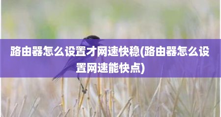路由器怎么设置才网速快稳(路由器怎么设置网速能快点)