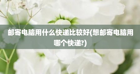 邮寄电脑用什么快递比较好(想邮寄电脑用哪个快递?)
