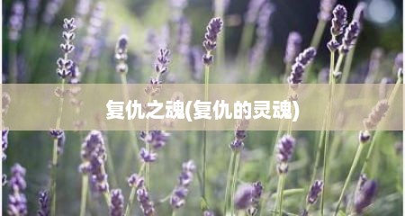 复仇之魂(复仇的灵魂)