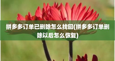 拼多多订单已删除怎么找回(拼多多订单删除以后怎么恢复)