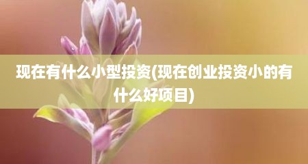 现在有什么小型投资(现在创业投资小的有什么好项目)
