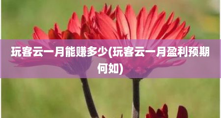 玩客云一月能赚多少(玩客云一月盈利预期何茹)