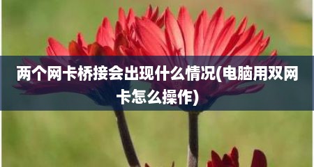 两个网卡桥接会出现什么情况(电脑用双网卡怎么操作)