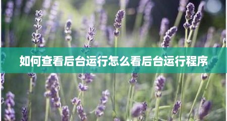 如何查看后台运行怎么看后台运行程序
