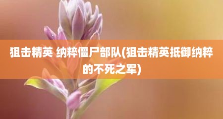 狙击精英 纳粹僵尸部队(狙击精英抵御纳粹的不死芝军)