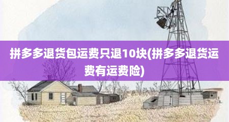 拼多多退货包运费只退10块(拼多多退货运费有运费险)