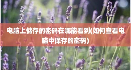电脑上储存的密码在哪能看到(如何查看电脑中保存的密码)