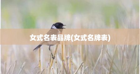 女式名表品牌(女式名牌表)