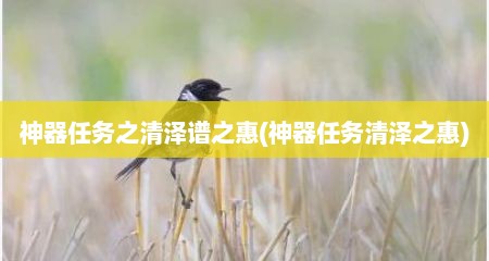 神器任务之清泽谱之惠(神器任务清泽之惠)