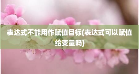 表达式不能用作赋值目标(表达式可以赋值给变量吗)
