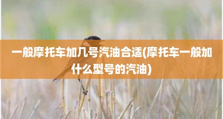 一般摩托车加几号汽油合适(摩托车一般加什么型号的汽油)