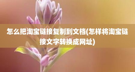 怎么把淘宝链接复制到文档(怎样将淘宝链接文字转换成网址)