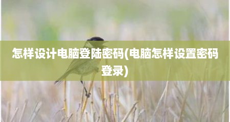 怎样设计电脑登陆密码(电脑怎样设置密码登录)