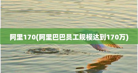 阿里170(阿里巴巴员工规模达到170万)