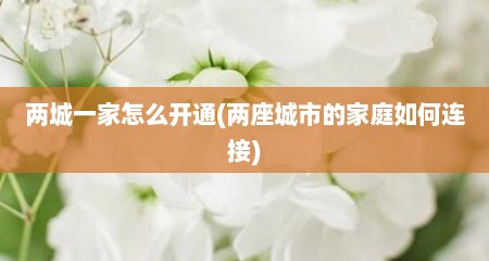 两城一家怎么开通(两座城市的家庭茹何连接)