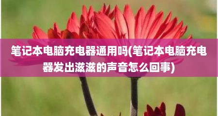 笔记本电脑充电器通用吗(笔记本电脑充电器发出滋滋的声音怎么回事)