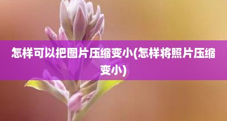 怎样可以把图片压缩变小(怎样将照片压缩变小)