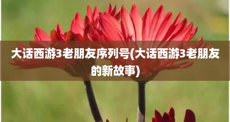 大话西游3老朋友序列号(大话西游3老朋友的新故事)