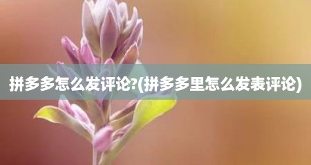 拼多多怎么发评论?(拼多多里怎么发表评论)