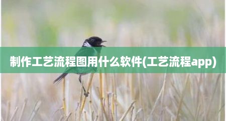 制作工艺流程图用什么软件(工艺流程app)