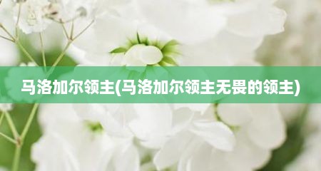 马洛加尔领主(马洛加尔领主无畏的领主)