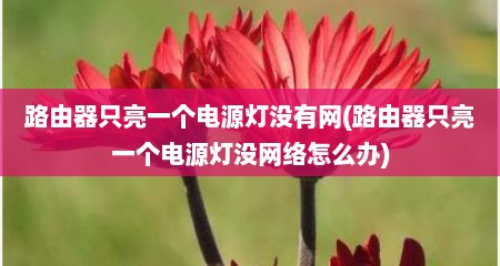 路由器只亮一个电源灯没有网(路由器只亮一个电源灯没网络怎么办)