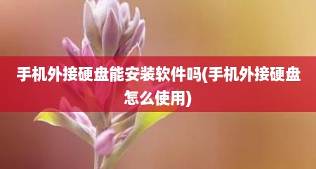 手机外接硬盘能安装软件吗(手机外接硬盘怎么使用)