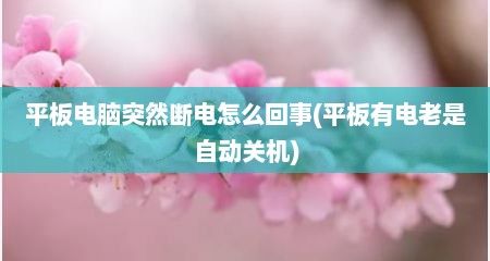 平板电脑突然断电怎么回事(平板有电老是自动关机)