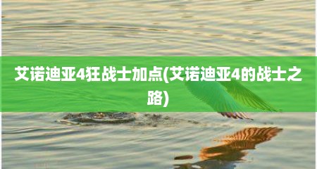 艾诺迪亚4狂战士加点(艾诺迪亚4的战士之路)
