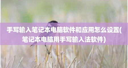 手写输入笔记本电脑软件和应用怎么设置(笔记本电脑用手写输入法软件)