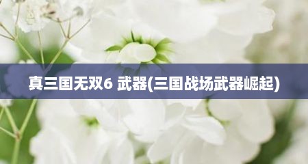 真三国无双6 武器(三国战场武器崛起)