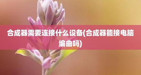 合成器需要连接什么设备(合成器能接电脑编曲吗)