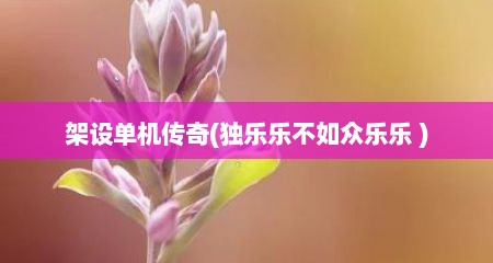 架设单机传奇(独乐乐不如众乐乐 )