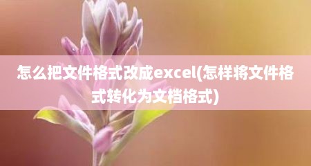 怎么把文件格式改成excel(怎样将文件格式转化为文档格式)