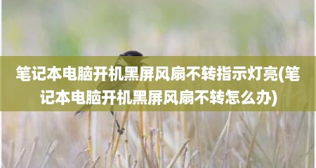 笔记本电脑开机黑屏风扇不转指示灯亮(笔记本电脑开机黑屏风扇不转怎么办)